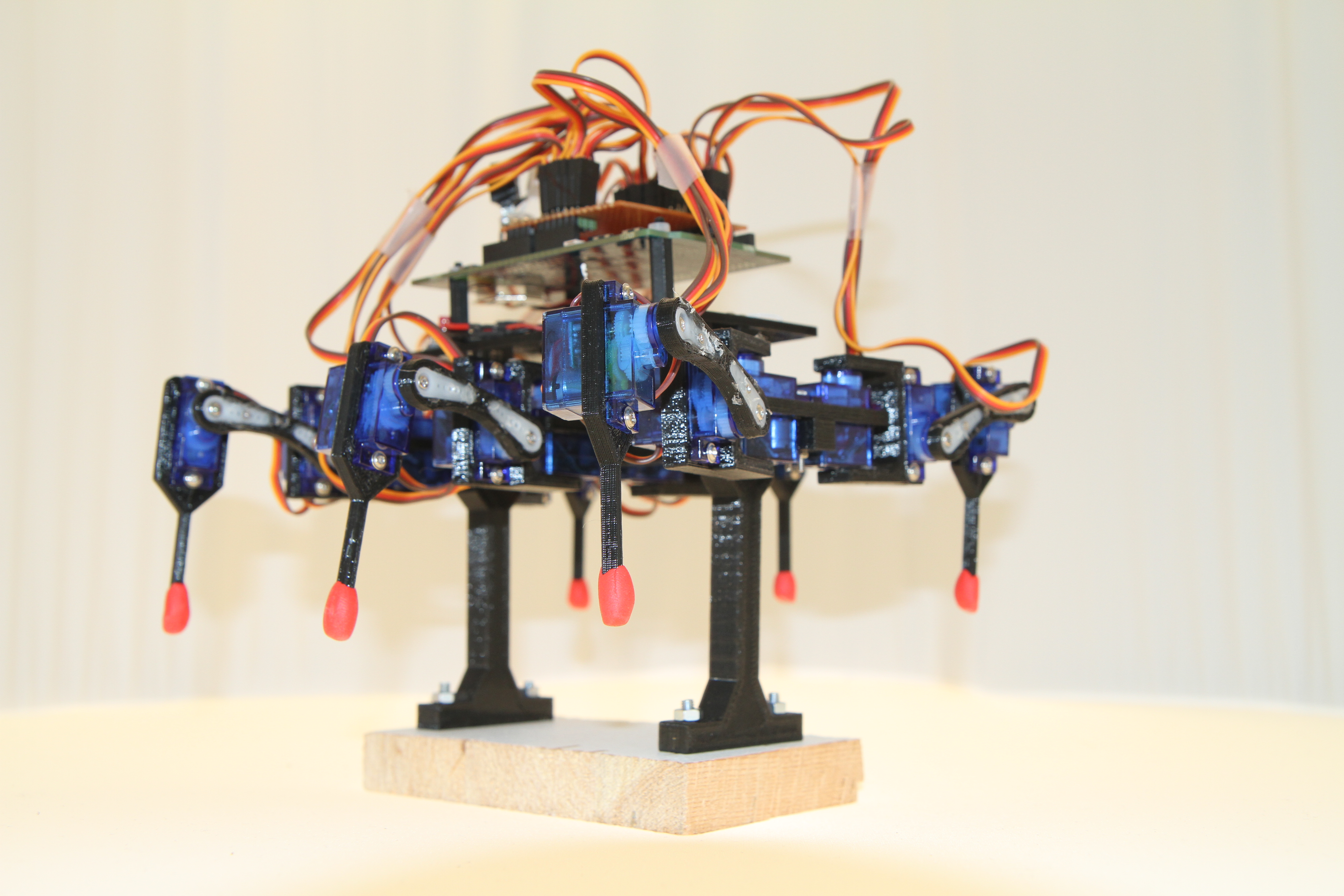 Hexapod on stan