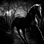 user2766