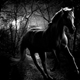 user2766