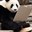 user12462