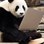 user12462