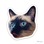 user15735